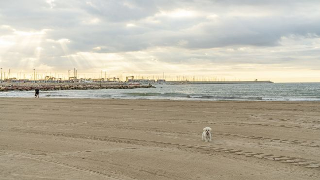 Platja Pinedo / Foto: Xisco Navarro