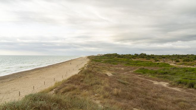 Platja El Saler / Foto: Xisco Navarro