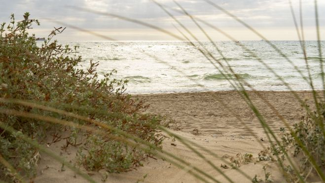 Platja Garrofera / Foto: Xisco Navarro 